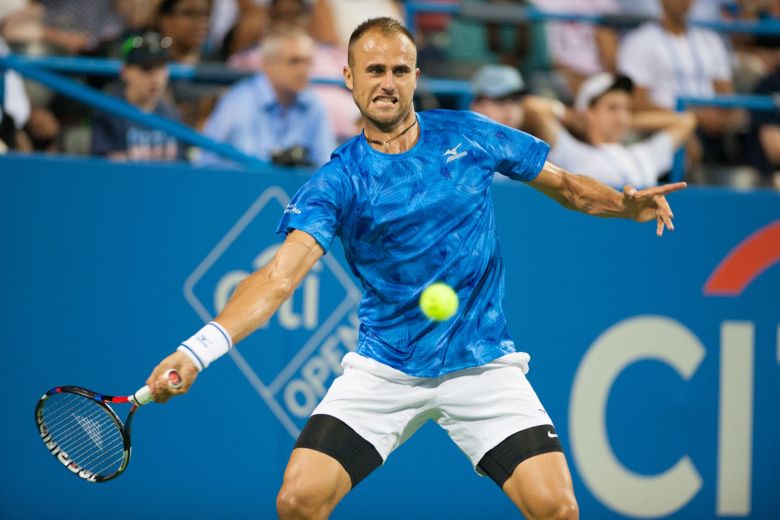 Marius Copil 002