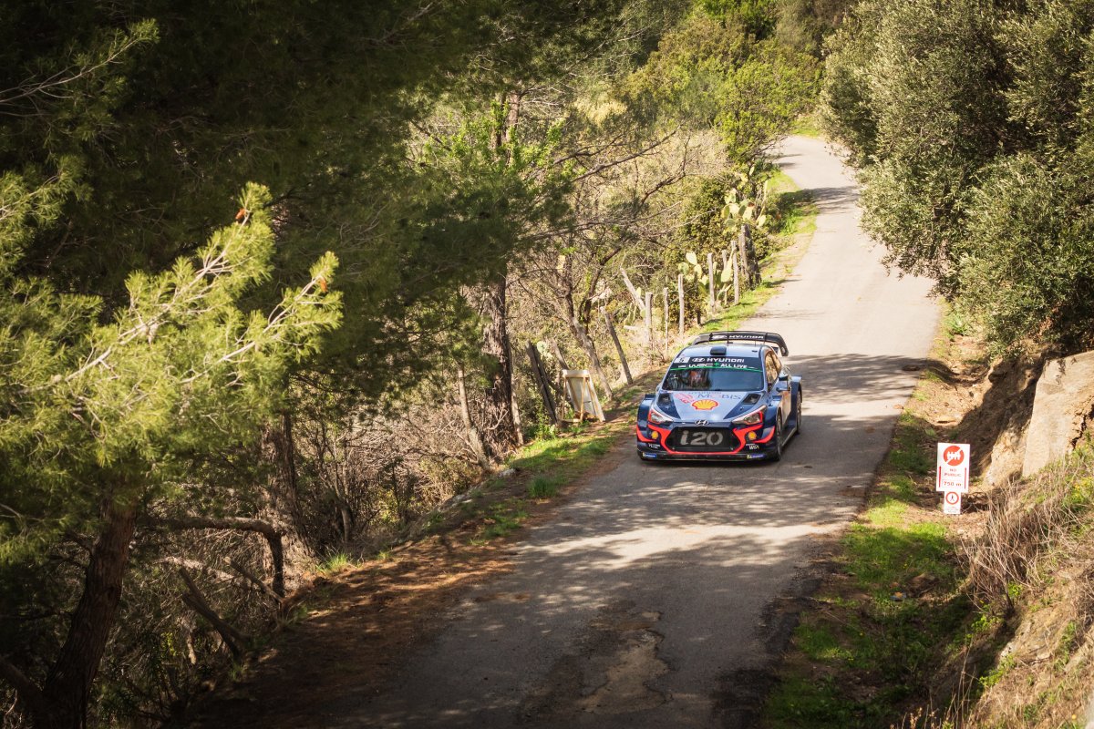 Thierry Neuville 014 Thierry Neuville (Foto: Jon Ingall/Shutterstock.com)