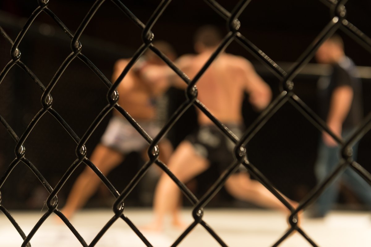UFC MMA General 001 Fotografii: Leeloona/Shutterstock